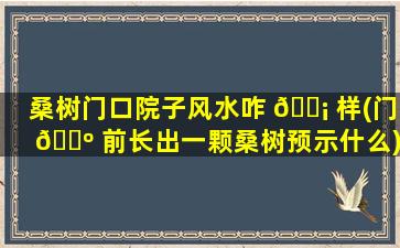 桑树门口院子风水咋 🐡 样(门 🐺 前长出一颗桑树预示什么)